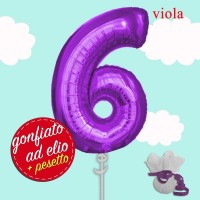 numero 6 viola maxi ad elio