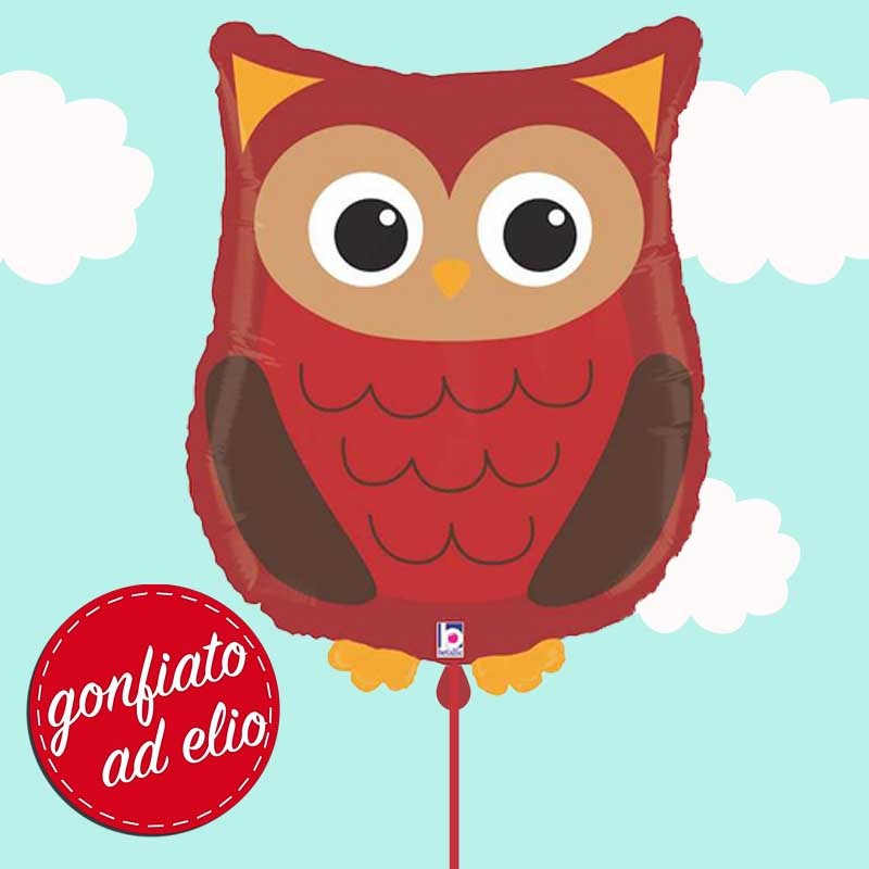 palloncino gufo ad elio