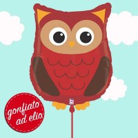 palloncino gufo ad elio