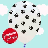 palloncino zampette ad elio palloncino zampette ad elio