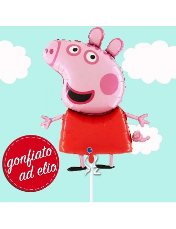 palloncino di pappa gonfiato ad elio