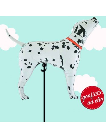 palloncino cane dalmata ad elio