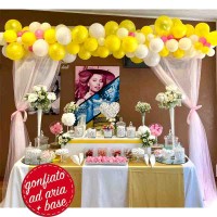 arco orizzontale organico palloncini arco orizzontale organico palloncini