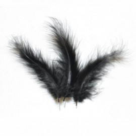 piume nere