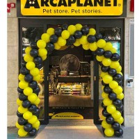 arco palloncini arcaplanet Palermo
