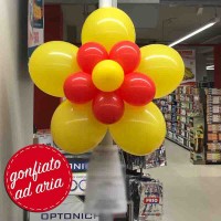 fiore 5 petali