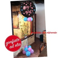 pallone gender reveal ad elio palermo