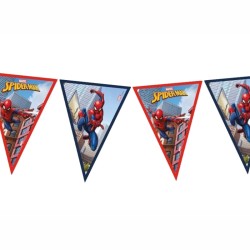 bandierine Spiderman cartoncino