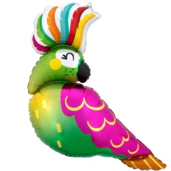 palloncino pappagallo colorato