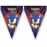 bandierine Sonic