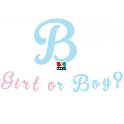 festone baby shower girl boy