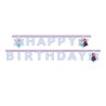 festone frozen happy birthday wonder